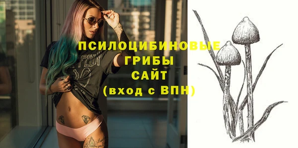 2c-b Алзамай