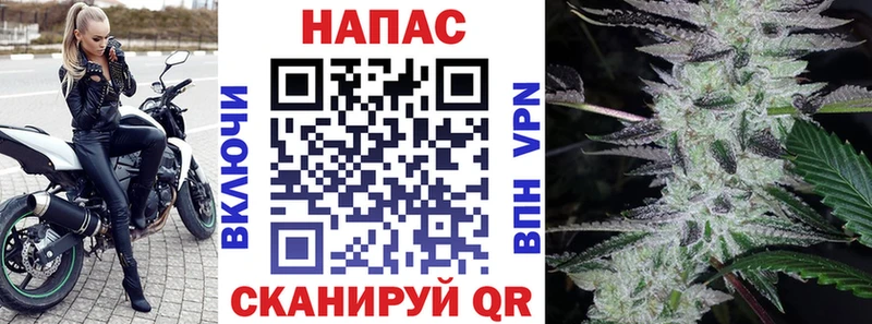 Бошки Шишки тримм  Новоаннинский 
